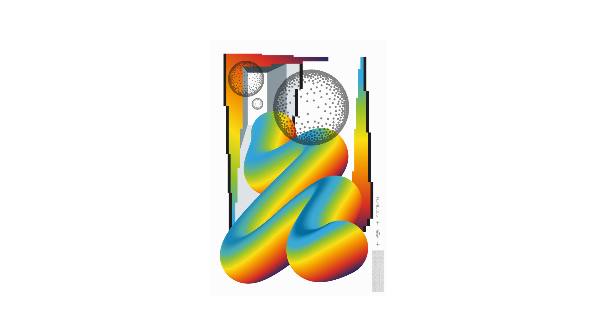 Specimen | Angel Torem